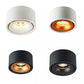 Bright XSL2 Downlight - Bright X