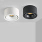 Bright XSL2 Downlight - Bright X