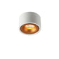 Bright XSL2 Downlight - Bright X
